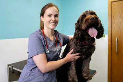 Petersfield vet saved dog that swallowed ball