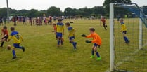 Petersfield Town Juniors football tournament attracts 300 teams