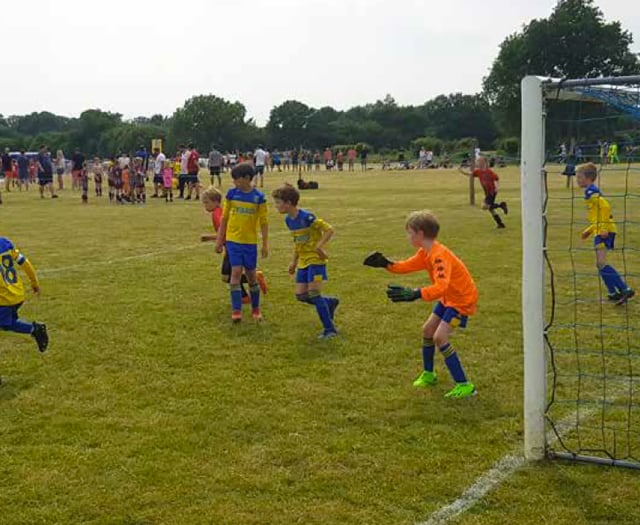 Petersfield Town Juniors football tournament attracts 300 teams