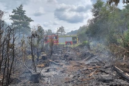 Hampshire firefighters warn people not to barbecue on heathland