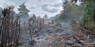 Hampshire firefighters warn people not to barbecue on heathland