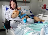 Dogtor Noodle eases Kiera's surgery ordeal