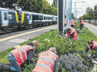 Woking, West Byfleet and Brookwood among 100 SWR 'adopted' stations