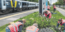 Woking, West Byfleet and Brookwood among 100 SWR 'adopted' stations