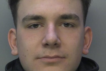 Burglar and car thief who "tormented residents" has been locked up