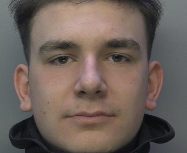 Burglar and car thief who "tormented residents" has been locked up