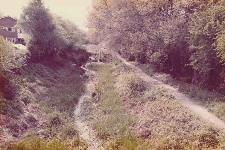 Basingstoke canal