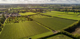 Rail to Trail Walking Festival launched in East Hampshire and Surrey