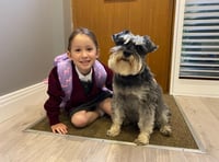 Seven-year-old raises money for dogs' charity in memory of pal Pepper