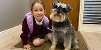 Seven-year-old raises money for dogs' charity in memory of pal Pepper