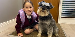 Seven-year-old raises money for dogs' charity in memory of pal Pepper