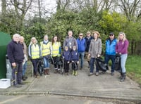 Village litter-pick collects 'disgusting' amount of rubbish