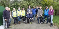 Village litter-pick collects 'disgusting' amount of rubbish