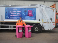 'Pink' bins could be launched in Woking for small electrical goods