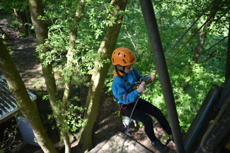 Beavers Go Wild camp