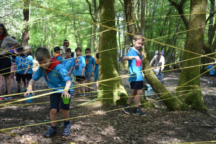 Beavers Go Wild camp