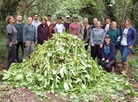 WEAct takes part in Great Big Green Week