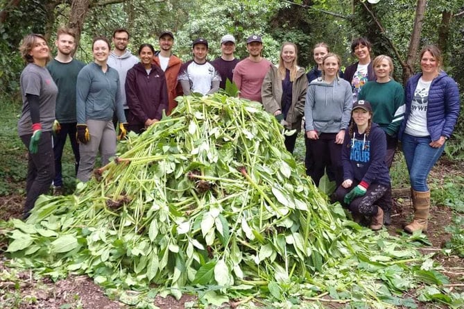WWF volunteers and their mountain of Himalayan balsam at the White Rose Lane Nature Reserve