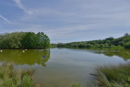 Guildford nature reserve to undergo a three-year improvement project