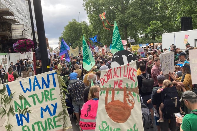 Restore Nature Now Placards