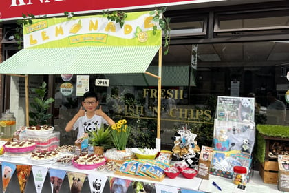 Knaphill youngster sets out stall for latest WWF fundraiser