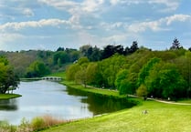 Things to enjoy at Painshill this month