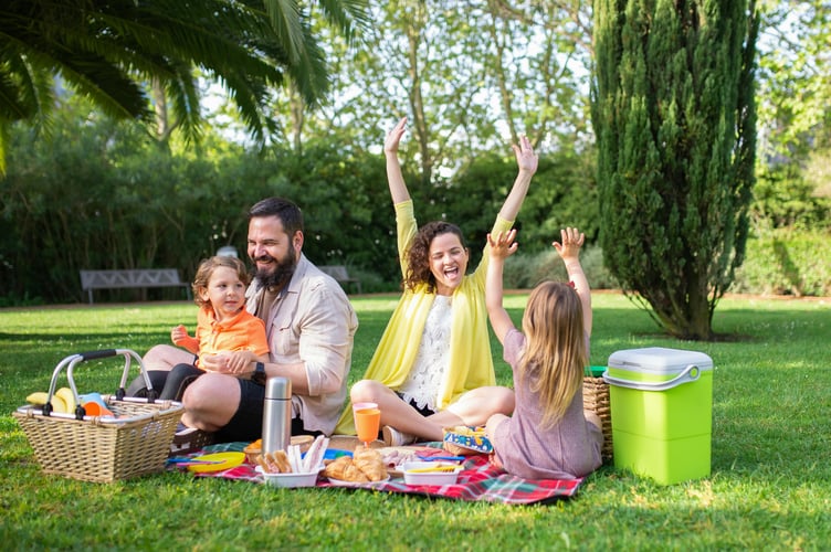 Family picnic stock image