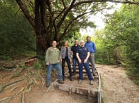 Milk bottle tops used in green rebuilding of Box Hill steps