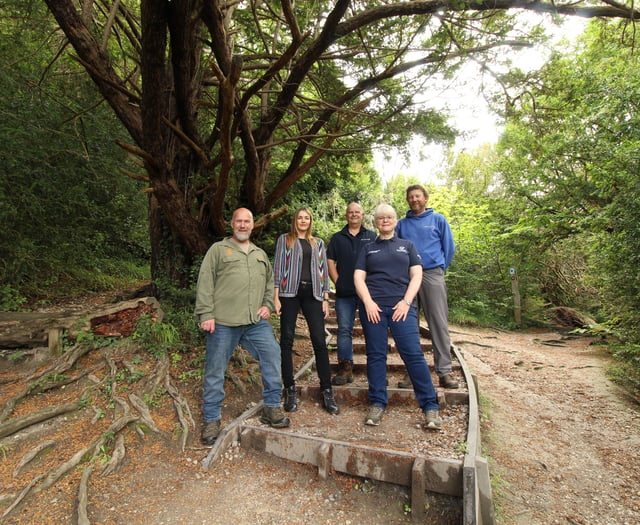 Milk bottle tops used in green rebuilding of Box Hill steps