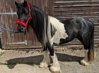 Can you give a home that is in tune with a Cob called Verdi?