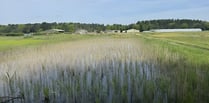 Funding boost for biodiversity at Surrey nature reserve