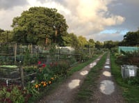 Have a fun day out at Derry's Field Allotments open day