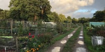 Have a fun day out at Derry's Field Allotments open day