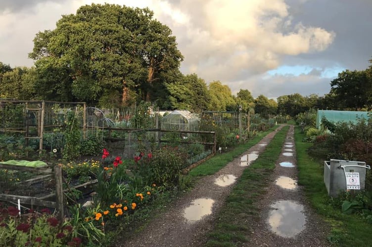 Visitors can enjoy the site's fresh produce and more - Derry's Field Allotments