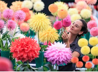 Annual flower show is set to burst into bloom