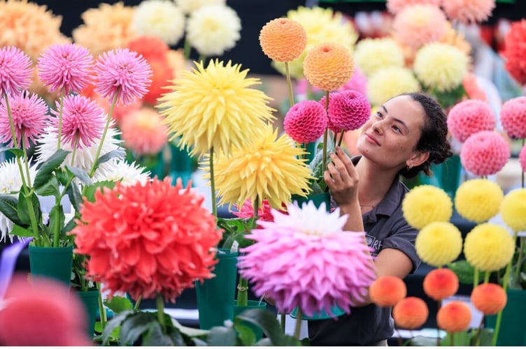 RHS Wisley Flower Show 