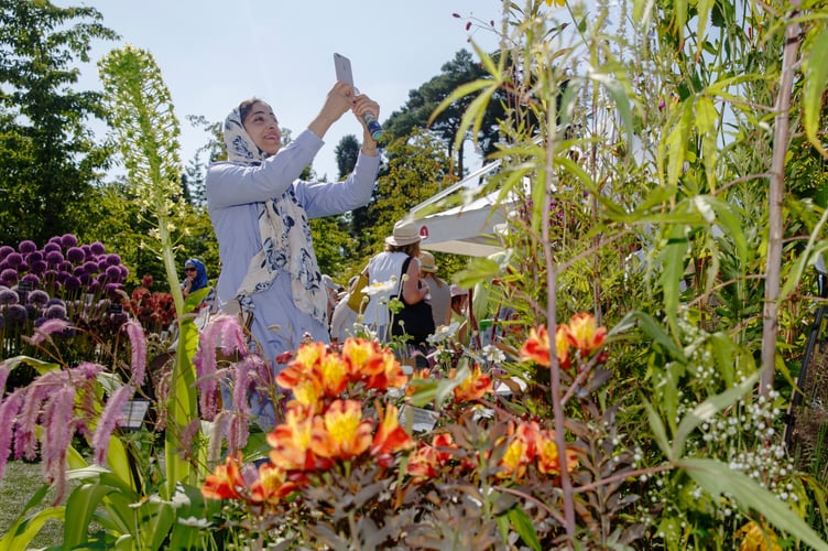 RHS Wisley Flower Show 