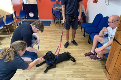 Camberley Woods pawsitively brightens RSPCA Millbrook