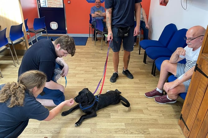 RSPCA Camberley care home visit