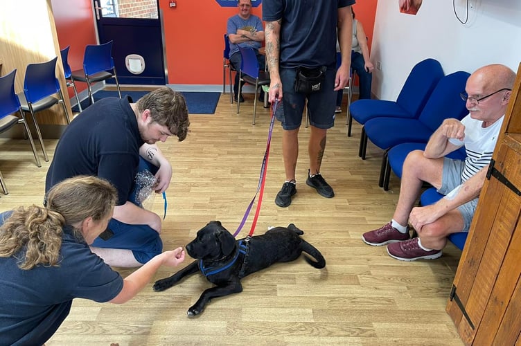 RSPCA Camberley care home visit