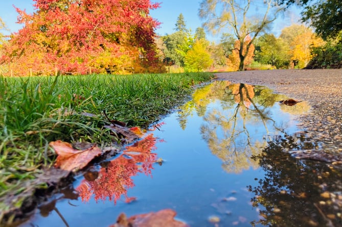 Photo in Ashford and St Peter's Hospitals NHS Foundation Trust competition