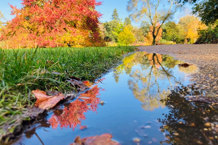 Photo in Ashford and St Peter's Hospitals NHS Foundation Trust competition