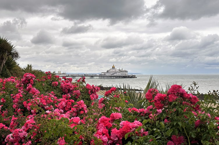 Photo in Ashford and St Peter's Hospitals NHS Foundation Trust competition