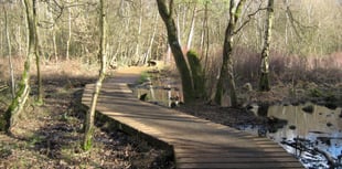 Visit Fleet Pond for rich diversity of wildlife