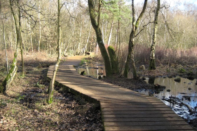 Fleet Pond: The circular path crosses the wet areas on a boardwalk