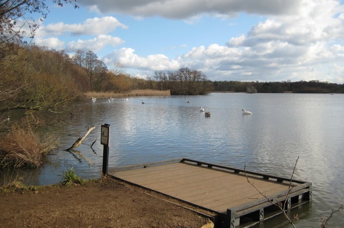 Fleet Pond has a wide diversity of animal and plant life