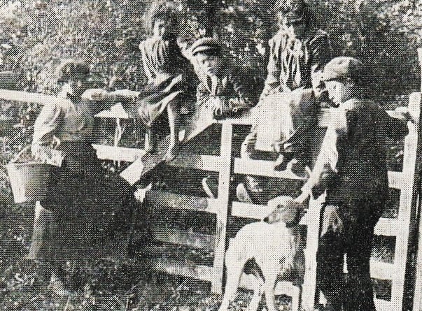 Postcard of Gypsy children