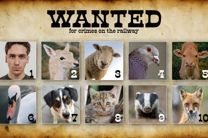 A list of the top ten trespassers on railways (Network Rail)