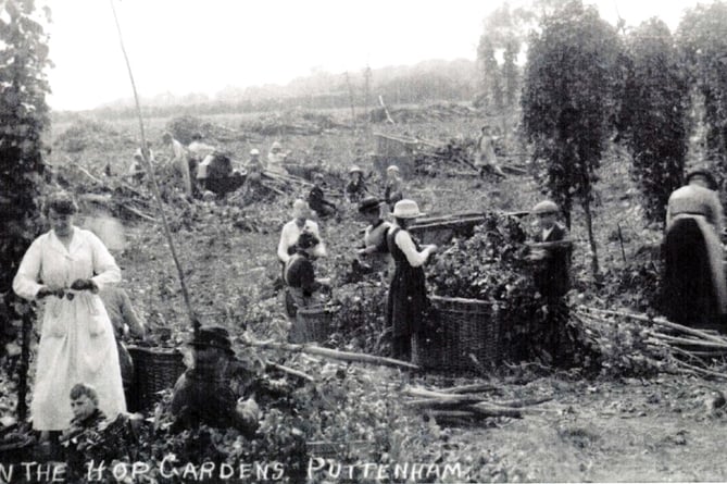 Gypsies hop picking in Puttenham in the early 1900s