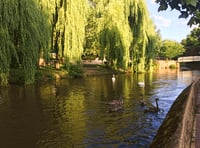 Cocktail of harmful chemicals found in the River Wey Catchment